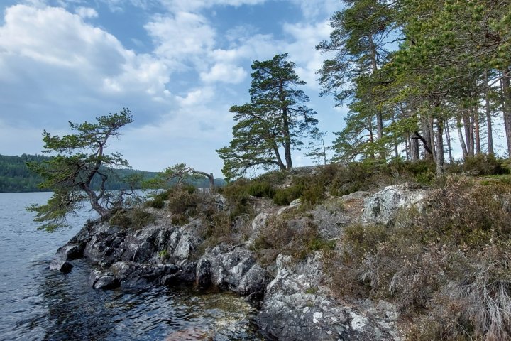 Scandtrack Kanutour Schweden 1684760629396