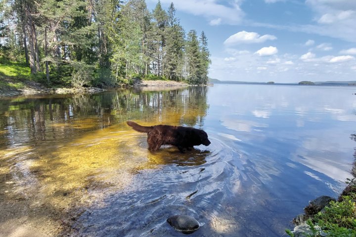 Scandtrack Kanutour Schweden 1684923606933