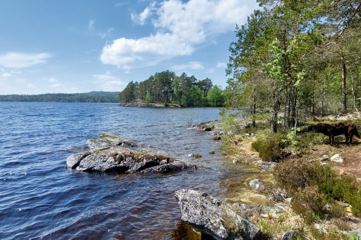 Scandtrack Kanutour Schweden 1684924122227