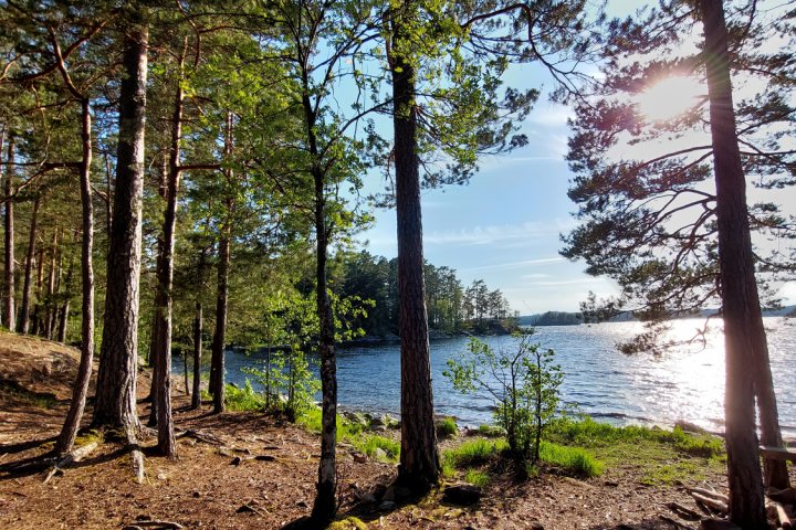 Scandtrack Kanutour Schweden 20230628184025