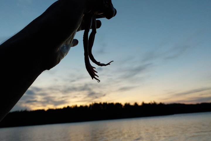 Scandtrack Kanutour Schweden 20230628232801
