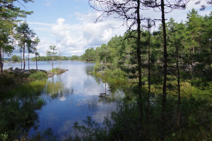 Scandtrack Kanutour Schweden IMGP1826