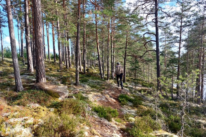 Scandtrack Kanutour Schweden 20230811181031