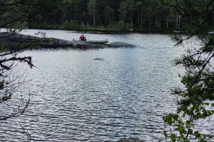 Scandtrack Kanutour Schweden IMG20230814161053