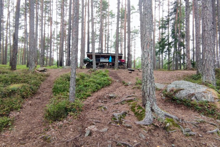 Scandtrack Kanutour Schweden IMG20230815121126