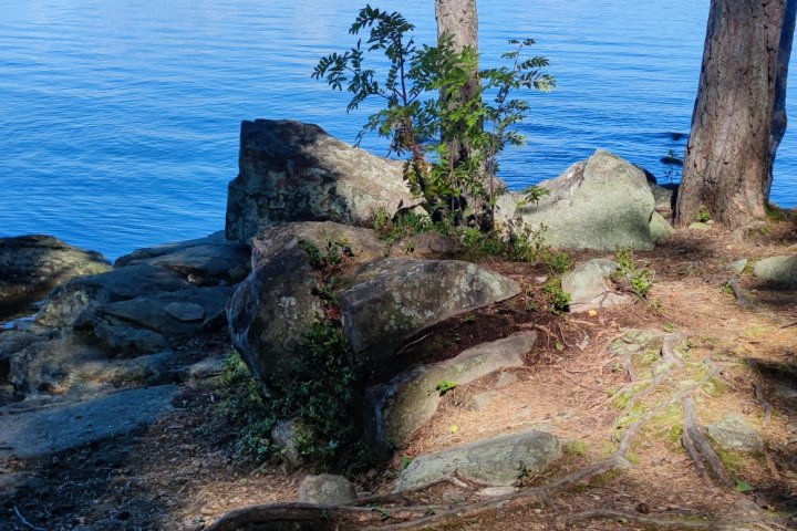 Scandtrack Kanutour Schweden IMG20230817131928