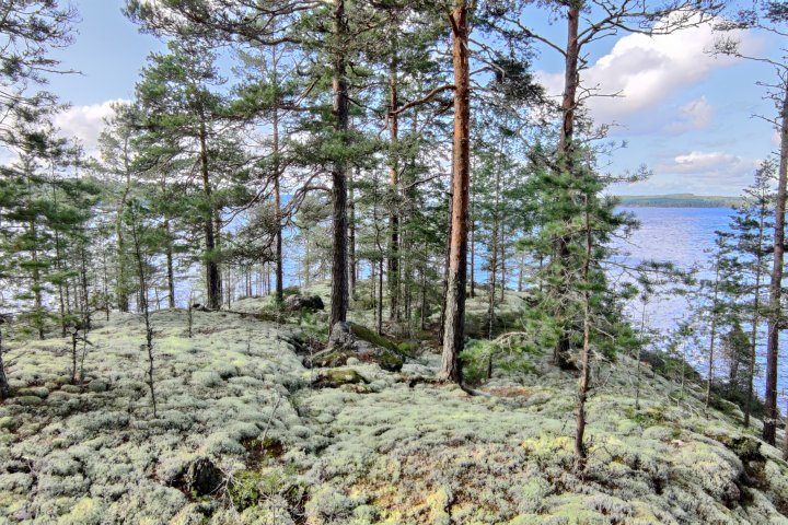 Scandtrack Kanutour Schweden Bild-11