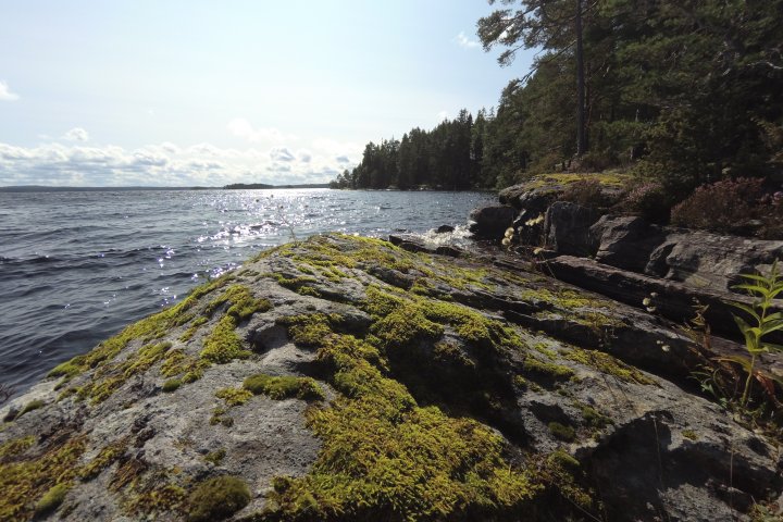 Scandtrack Kanutour Schweden Bild-15