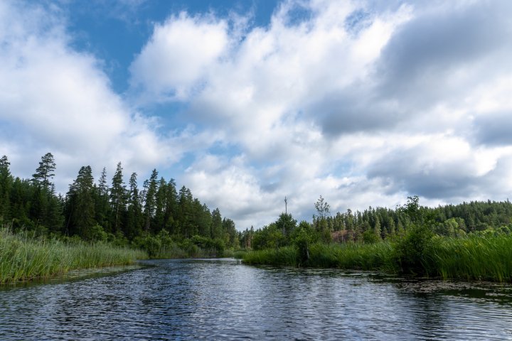 Scandtrack Kanutour Schweden Schweden2023-15