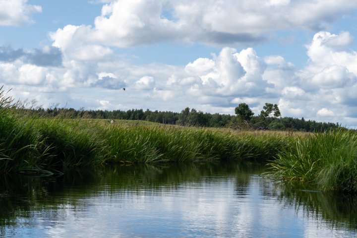 Scandtrack Kanutour Schweden Schweden2023-108