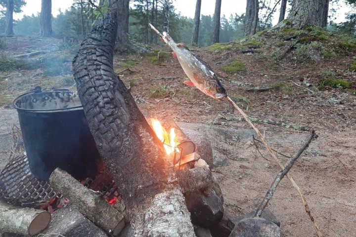 Scandtrack Kanutour Schweden Screenshot20231015-231124Gallery