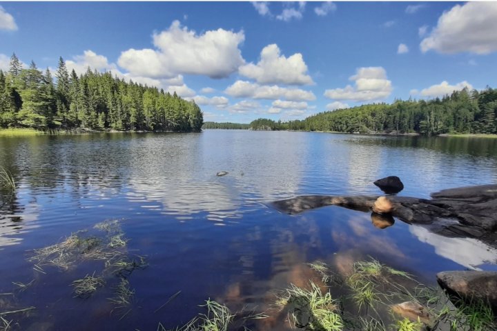 Scandtrack Kanutour Schweden Screenshot20231015-231622Gallery