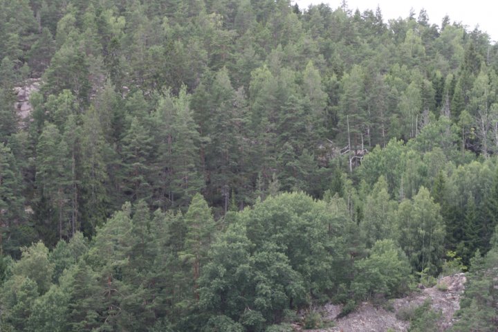 Scandtrack Kanutour Schweden IMG2989