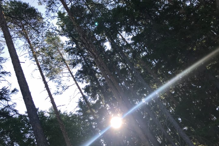 Scandtrack Kanutour Schweden 08