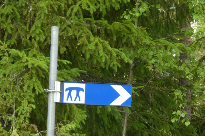 Scandtrack Kanutour Schweden P1090654