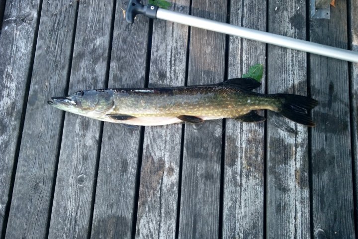 Scandtrack Kanutour Schweden Bild14