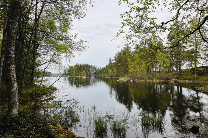 Scandtrack Kanutour Schweden Glaskogensimonmiller-1