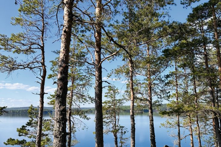 Scandtrack Kanutour Schweden Glaskogensimonmiller-14