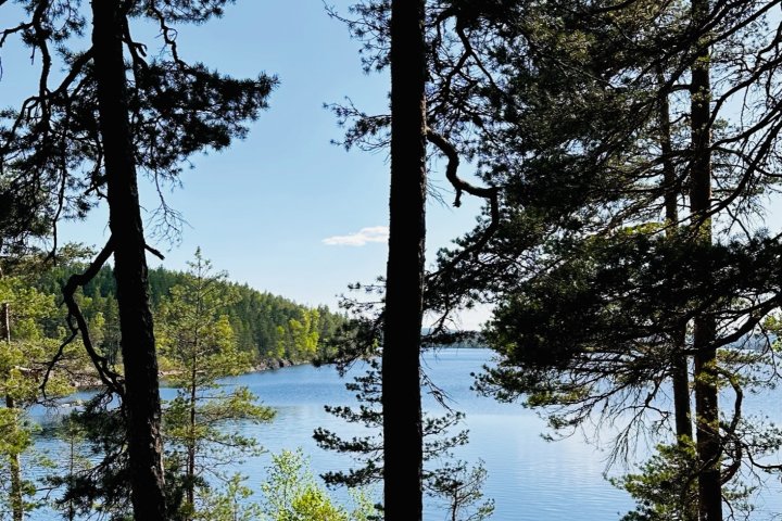 Scandtrack Kanutour Schweden Glaskogensimonmiller-20