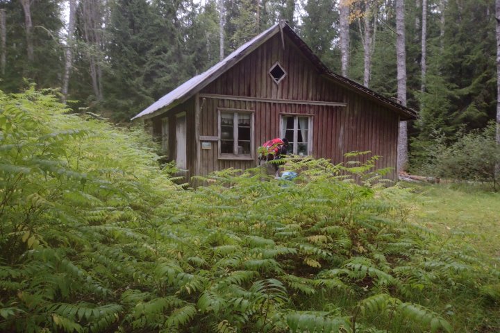 Scandtrack Kanutour Schweden IMG20230825110526716