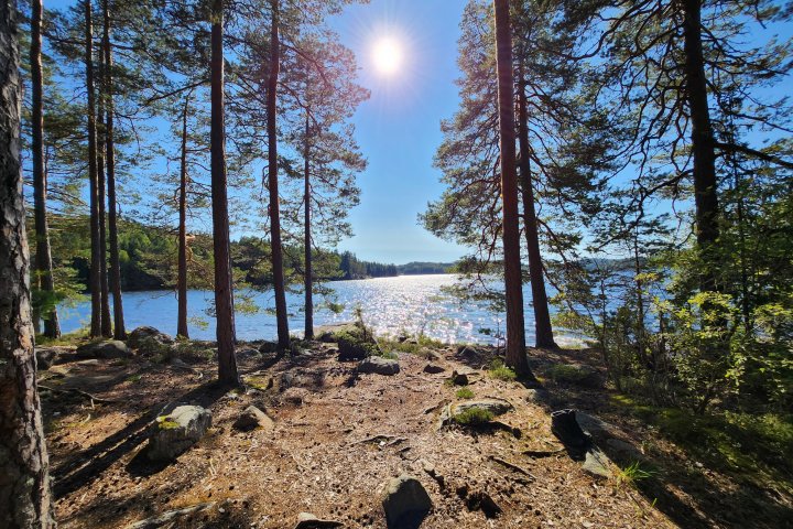 Scandtrack Kanutour Schweden 1000020940