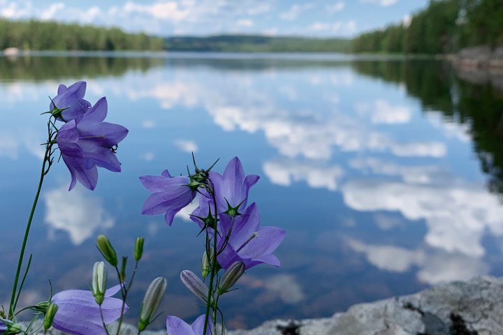Scandtrack Kanutour Schweden 11-Gladkern