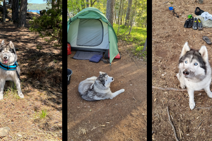 Scandtrack Kanutour Schweden 12