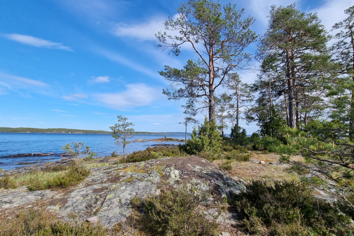Scandtrack Kanutour Schweden 17