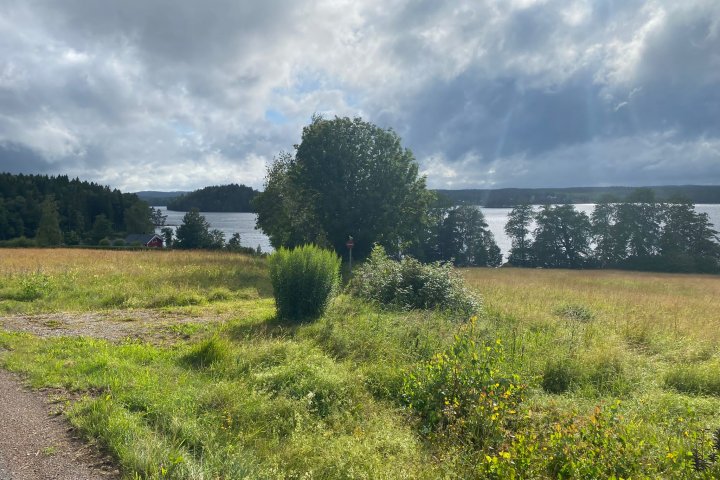 Scandtrack Kanutour Schweden IMG-20230725-WA0422