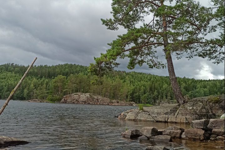Scandtrack Kanutour Schweden 1691943631586