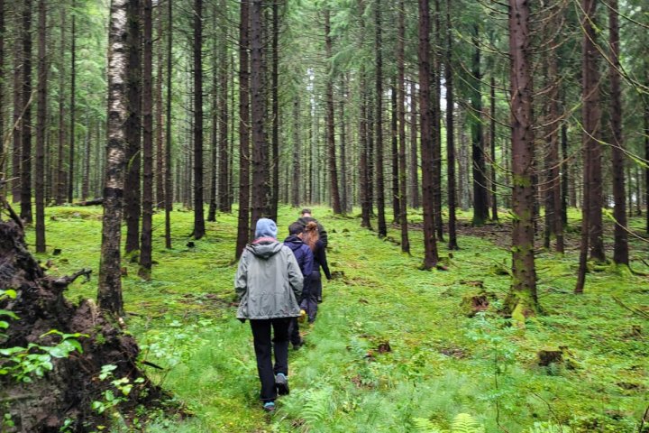 Scandtrack Kanutour Schweden 1691943632273