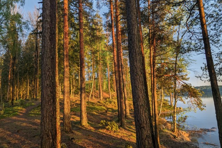 Scandtrack Kanutour Schweden PXL20230516190516236