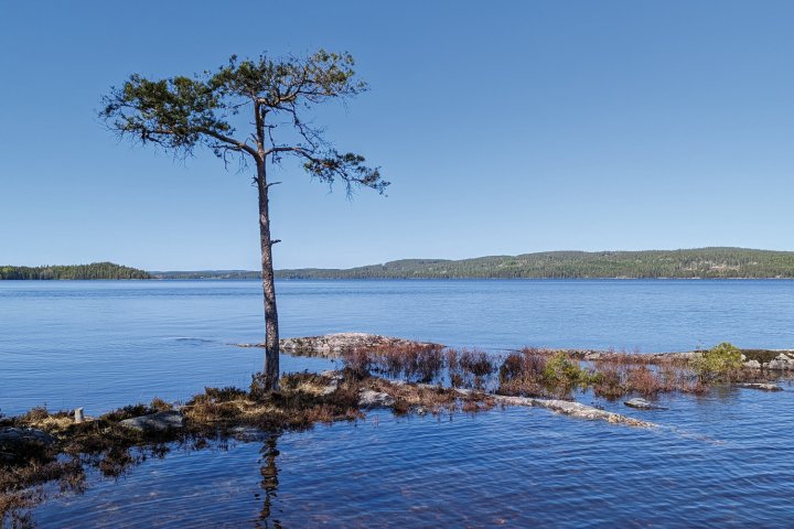 Scandtrack Kanutour Schweden PXL20230518142630689