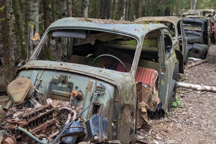 Scandtrack Kanutour Schweden PXL20230519112515993PORTRAIT
