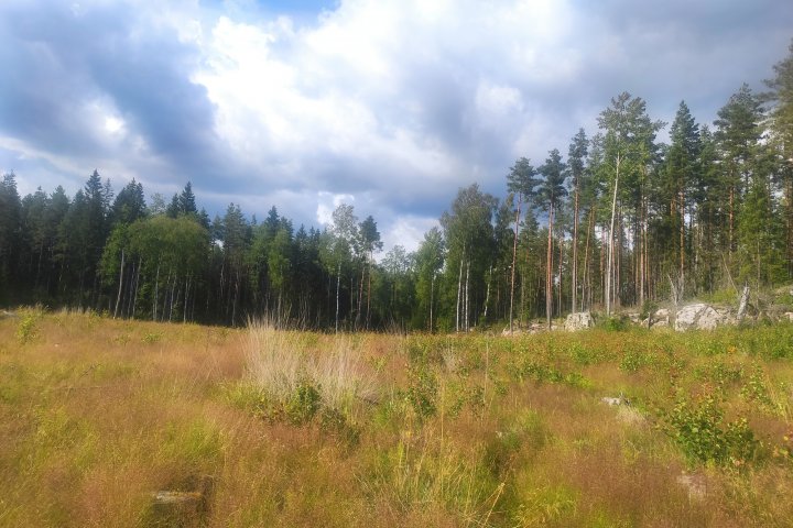 Scandtrack Kanutour Schweden IMG20230721163747