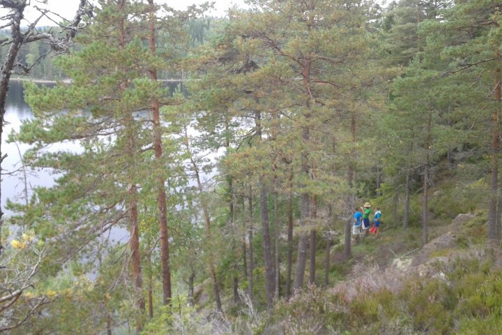 Scandtrack Kanutour Schweden 12