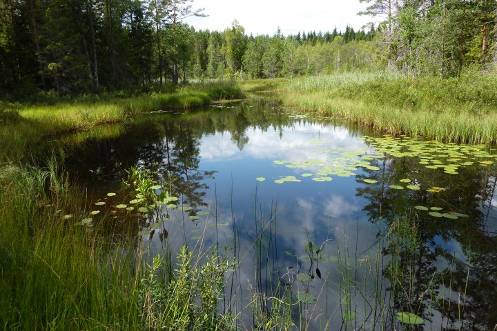 Scandtrack Kanutour Schweden 16