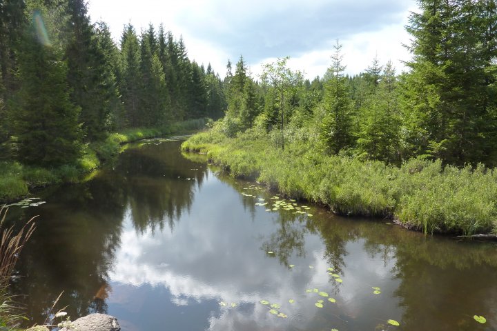 Scandtrack Kanutour Schweden 17