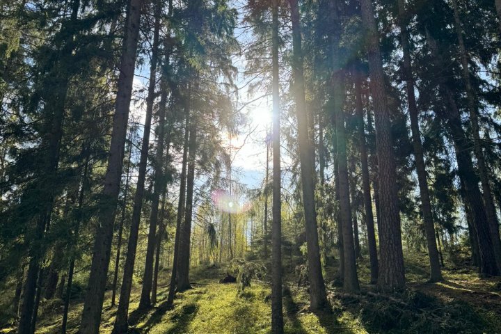 Scandtrack Kanutour Schweden Bild15