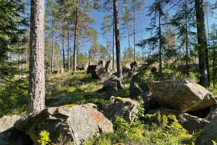 Scandtrack Kanutour Schweden image00004