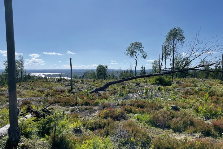 Scandtrack Kanutour Schweden image00006