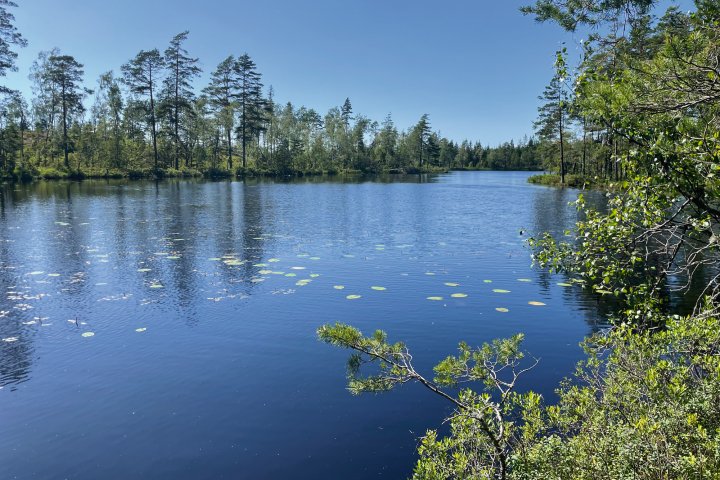 Scandtrack Kanutour Schweden image00007