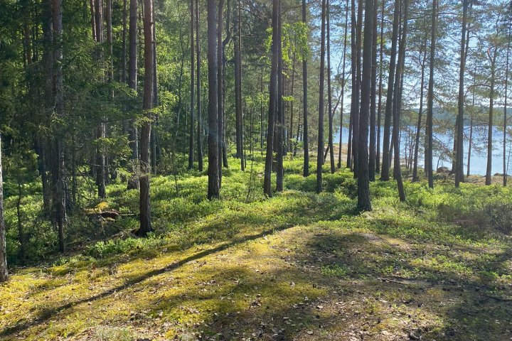 Scandtrack Kanutour Schweden IMG1619