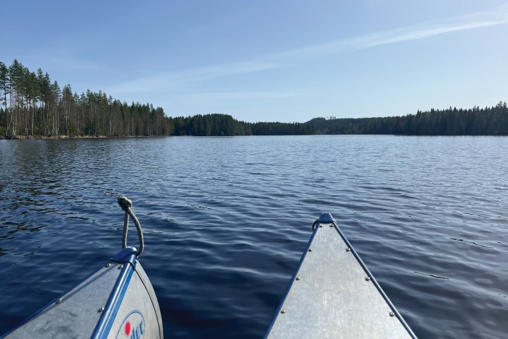 Scandtrack Kanutour Schweden image00007