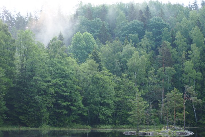 Scandtrack Kanutour Schweden IMG3176