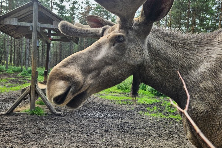 Scandtrack Kanutour Schweden 20240713112852