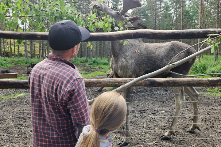 Scandtrack Kanutour Schweden 20240713112902