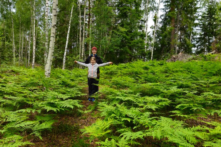 Scandtrack Kanutour Schweden 20240716164001