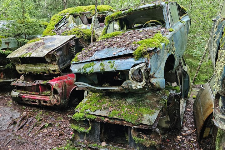 Scandtrack Kanutour Schweden 20240717153115