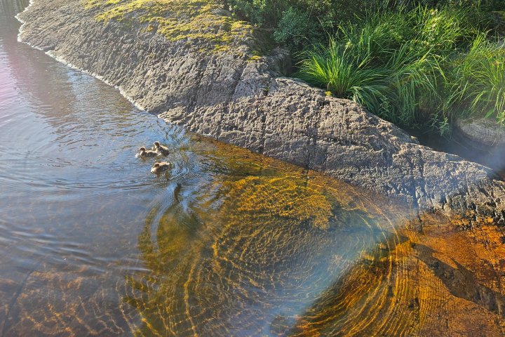 Scandtrack Kanutour Schweden 20240720064749